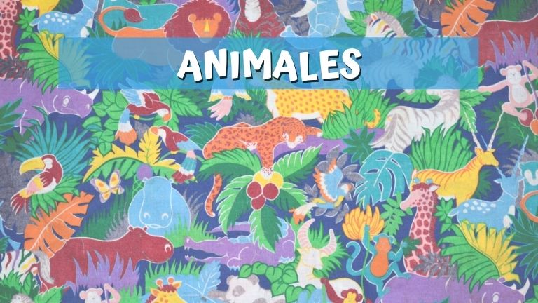 Animales y plantas