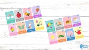 Flashcards de primavera