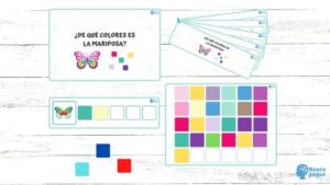 ¿De qué colores es la mariposa?