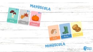 Flashcards de otoño